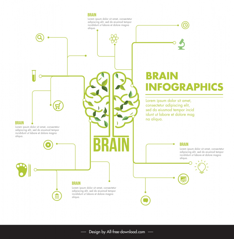brain infographic template flat line chart layout 