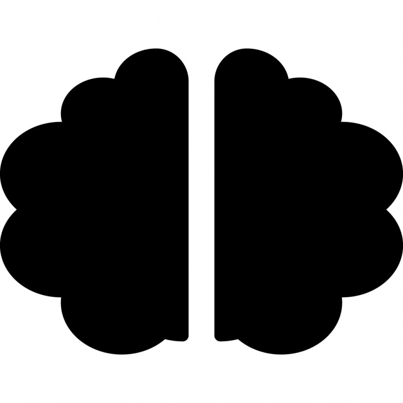 brain sign icon flat symmetric silhouette outline