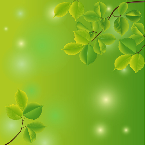 branches and leaves with green background vector