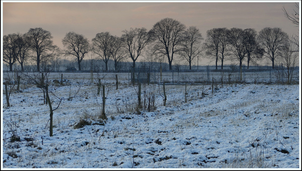 brandenburg winter 