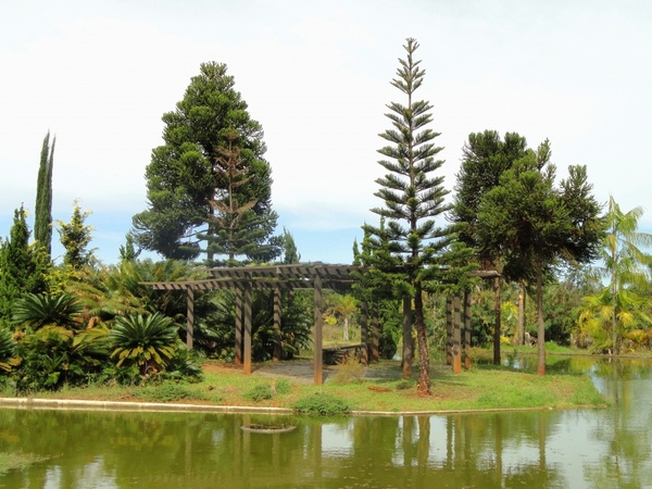 brasilia brazil botanical garden