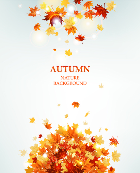 bright autumn leaves vector backgrounds