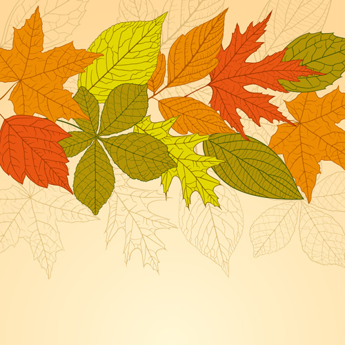 Bright Autumn Leaves Vector Backgrounds Vectors Graphic Art Designs In