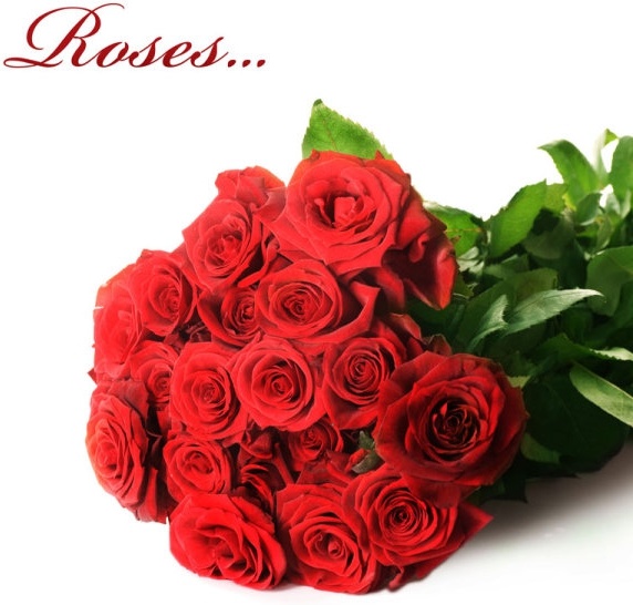 Featured image of post Love Rose Flower Images Download / We loaded the images of hd love rose flowers which have pixel resolution of 1920×1080.