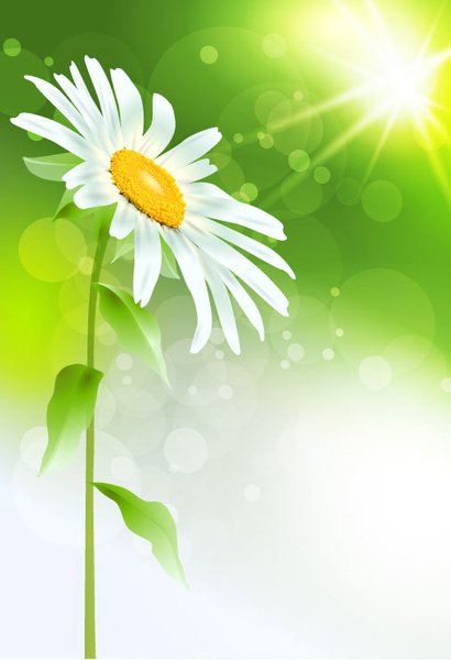 bright with flowers free vector