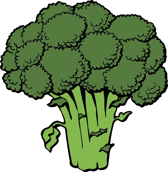 Broccoli clip art 