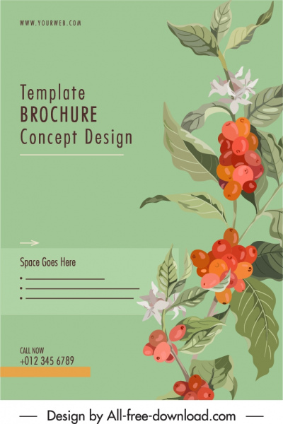brochure cover template elegant botanical plants sketch