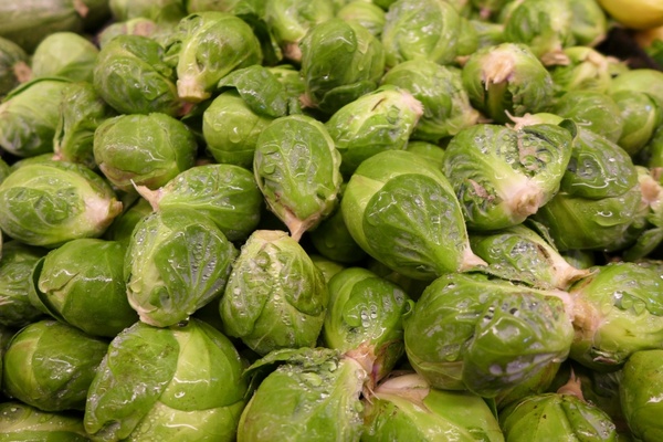 brussel sprouts vegetable green
