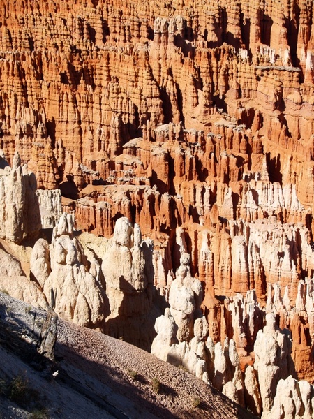 bryce canyon national park utah usa