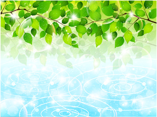 bubble and tree leaves vector background