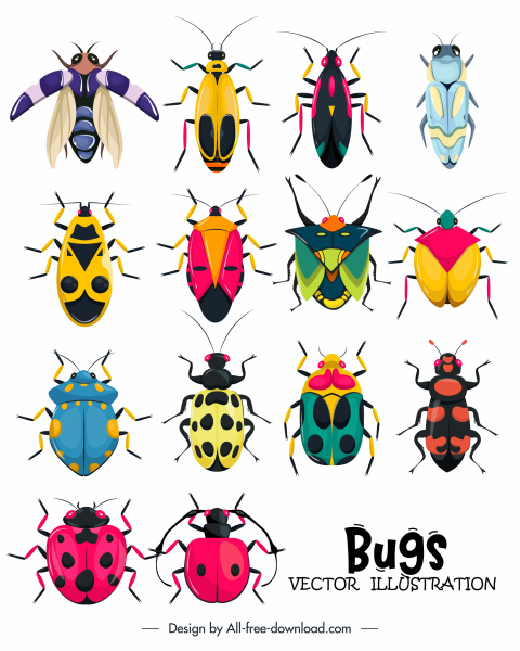 bugs insects icons colorful symmetric design