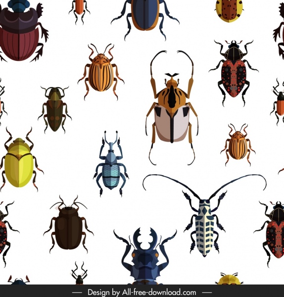 bugs pattern species icons decor colorful design