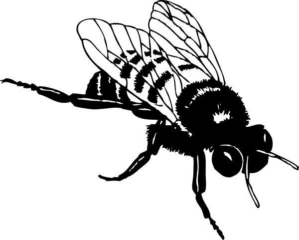 Download Bumble Bee clip art Free vector in Open office drawing svg ...