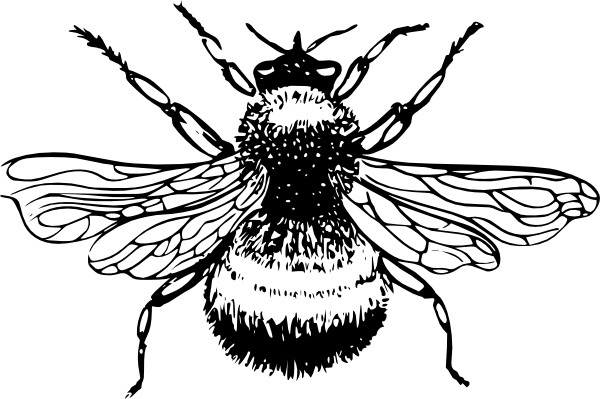 Bumblebee clip art 