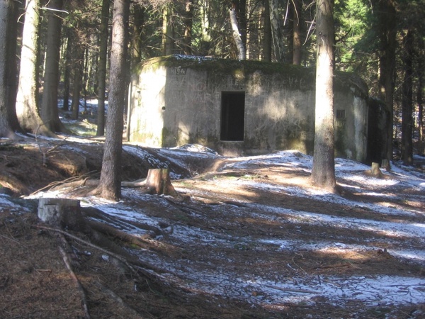 bunker in the woods 