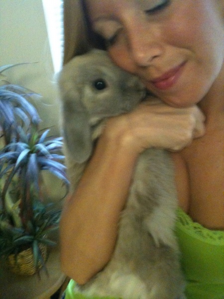 bunny love 