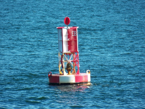 buoy buoy marker ocean