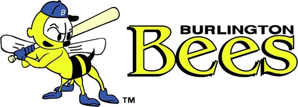burlington bees