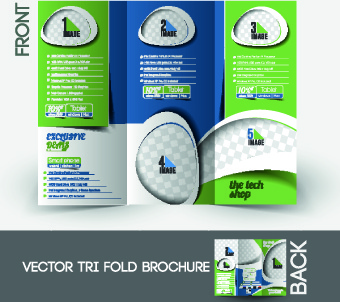 business flyer and cover brochure design vector