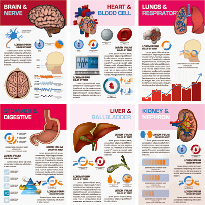 Business infographic creative design28 Vectors graphic art designs in ...