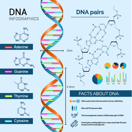 business infographic creative design78 