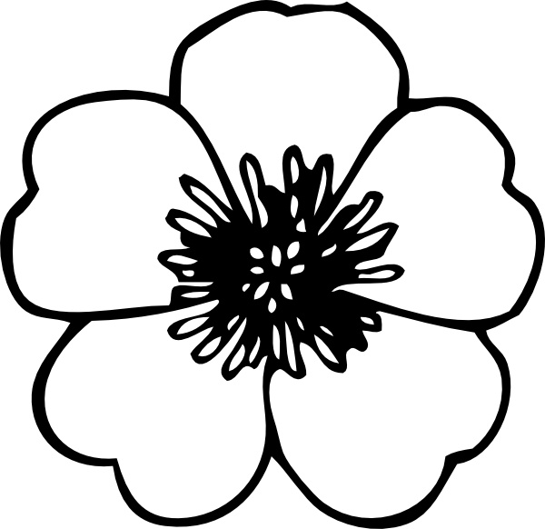 Free Free 54 Flower Drawing Svg SVG PNG EPS DXF File