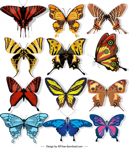 butterflies icons collection dark colorful shapes