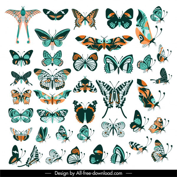 butterflies species icons collection colorful classic flat design 