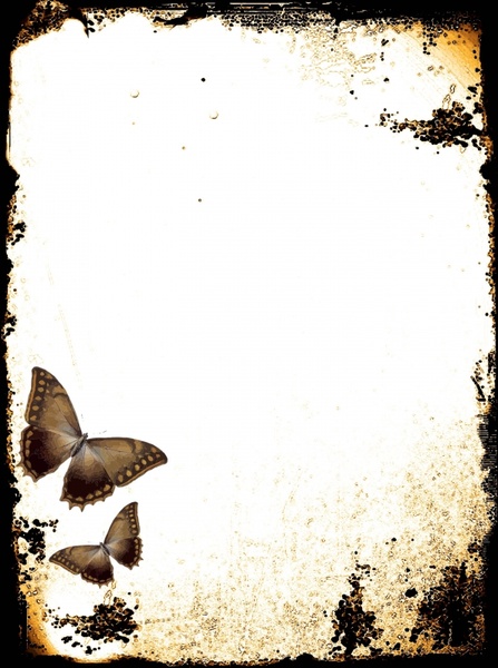 butterflies stationery 