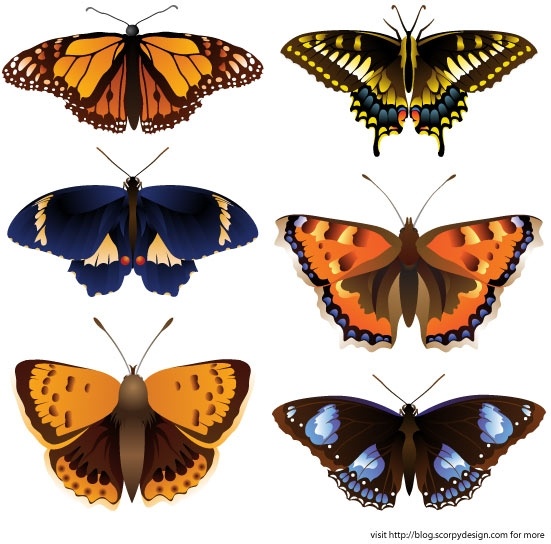 Download Butterfly free vector download (2,038 Free vector) for ...