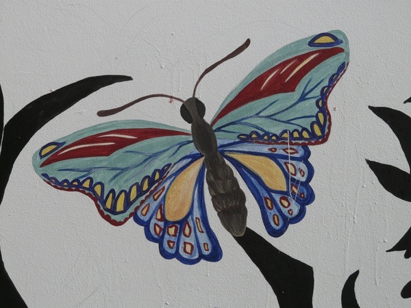 butterfly animal art