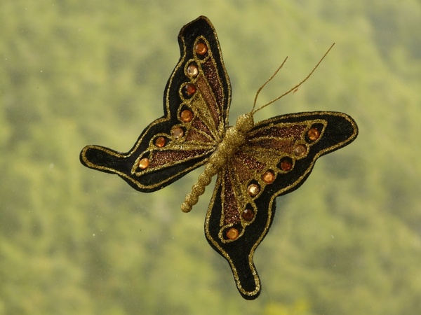 butterfly brooch jewellery