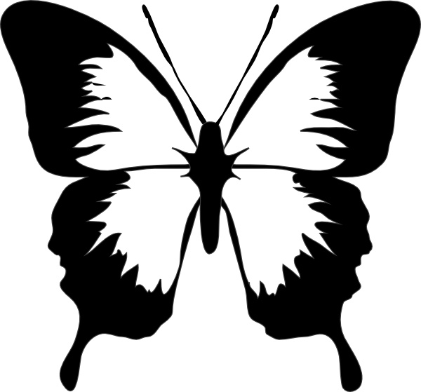 Butterfly clip art