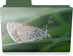Butterfly folder