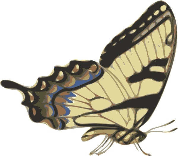Butterfly Papilio Turnus Side View clip art 