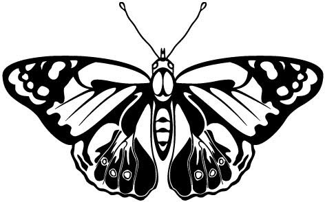 Free Free 231 Vector Butterfly Svg Free SVG PNG EPS DXF File