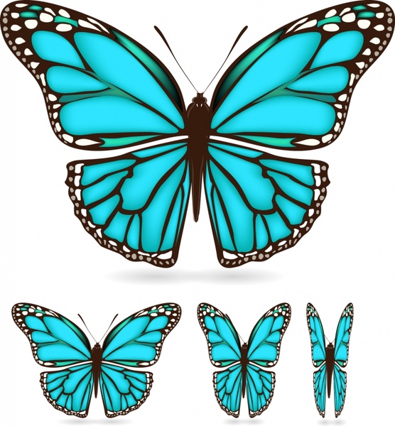 Download Butterfly wings vector free vector download (3,256 Free ...