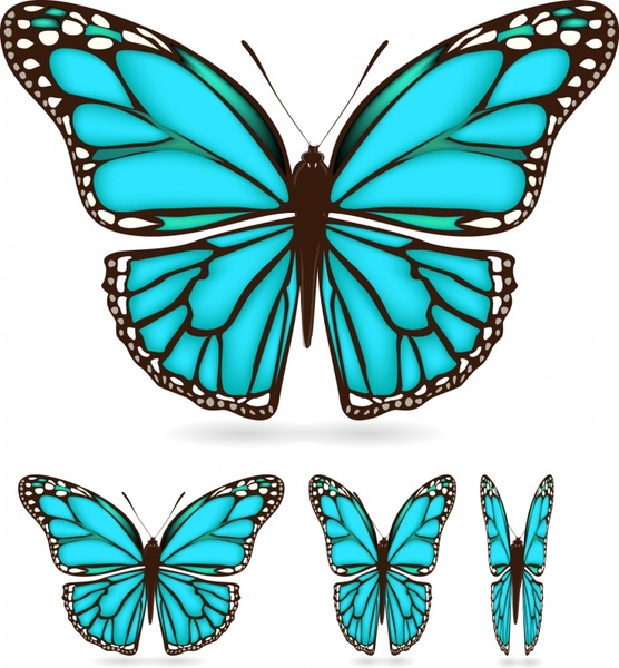 Free Free 328 Butterfly Pattern Svg Free SVG PNG EPS DXF File