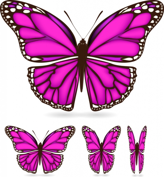 Download Butterfly wings free vector download (3,280 Free vector ...
