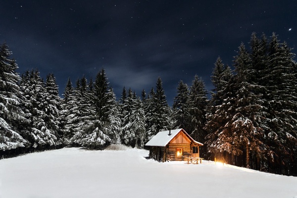 cabin chalet cold conifer evergreen forest frozen