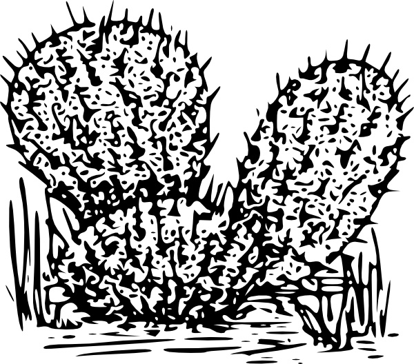 Cactus  clip art