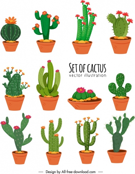 cactus icons collection colorful classical design