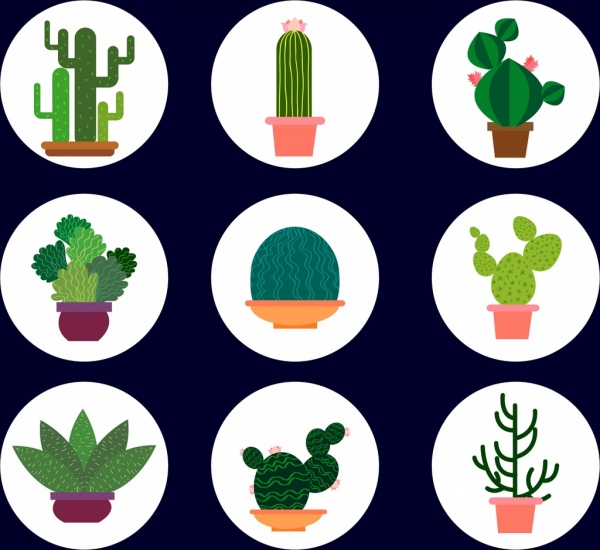 cactus icons collection various green types isolation