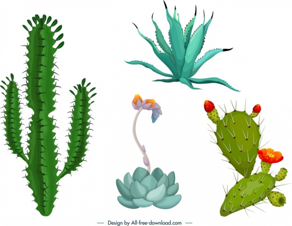 cactus icons templates colorful shapes design