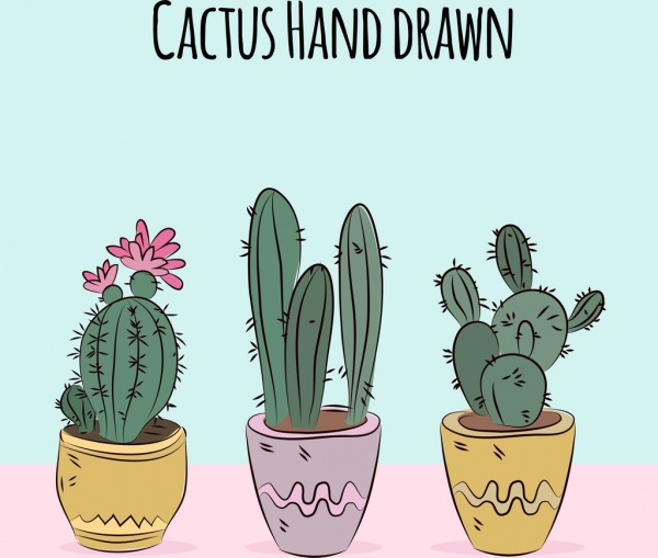 cactus pots drawing multicolored handdrawn decor