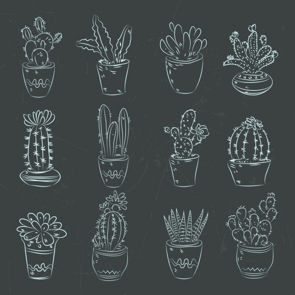 cactus pots icons dark design handdrawn decoration