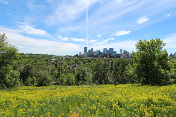calgary first day of summer 2014
