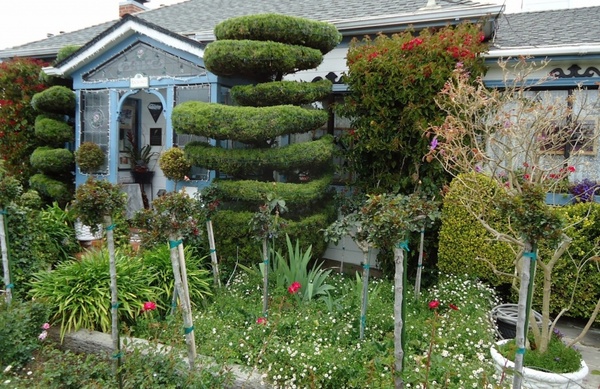 california garden house