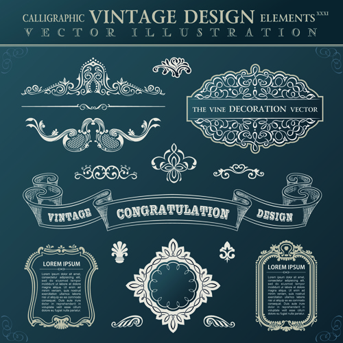 calligraphic decor vintage elements vector