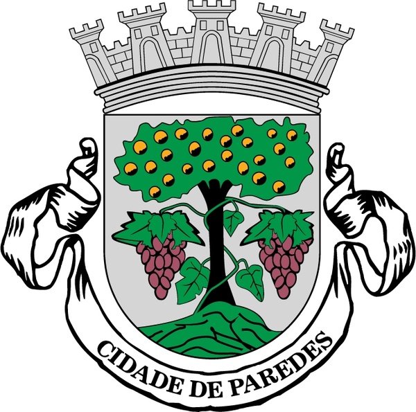 camara municipal de paredes 